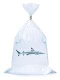 Shark Plastic Bag
