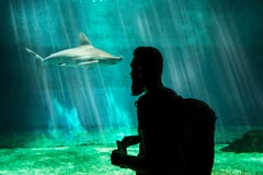 A visitor is looking at a huge shark in his own tank in the local Aquarium - blue environment. Attack, animal.