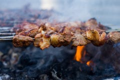 Shashlik oder shashlyk, die auf einen Grillgrill ?ber Holzkohle sich vorbereiten Gegrillte W?rfel des Schweinefleischs auf Metall stockfoto Shashlik oder shashlyk, die auf einen Grillgrill ?ber Holzkohle sich vorbereiten Gegrillte W?rfel des Schweinefleischs auf Metall stockfoto