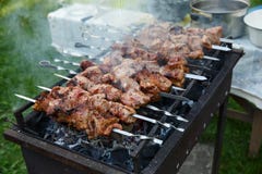 Shashlik ou shashlyk que preparam-se em uma grade do assado sobre o carvão vegetal Cubos grelhados da carne de carne de porco no fotografia de stock royalty free Shashlik ou shashlyk que preparam-se em uma grade do assado sobre o carvão vegetal Cubos grelhados da carne de carne de porco no fotografia de stock royalty free