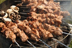 Shashlyk de los kebabs de la carne en un Bbq imagen de archivo libre de regalías Shashlyk de los kebabs de la carne en un Bbq imagen de archivo libre de regalías