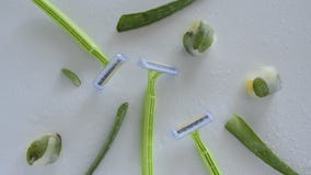 Shaving accessory for sensitive skin. Disposable razor with aloe vera plant on wet white background stock video Shaving accessory for sensitive skin. Disposable razor with aloe vera plant on wet white background stock video