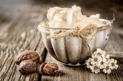 Shea βούτυρο και καρύδια στοκ φωτογραφία με δικαίωμα ελεύθερης χρήσης Shea βούτυρο και καρύδια στοκ φωτογραφία με δικαίωμα ελεύθερης χρήσης