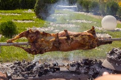 Sheep on spits roasting