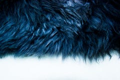 Sheepskin στο άσπρο υπόβαθρο στοκ εικόνες Sheepskin στο άσπρο υπόβαθρο στοκ εικόνες