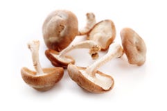 Shiitake Mushrooms Stock Image Shiitake Mushrooms Stock Image