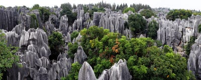 Shilin Stone Forest Royalty Free Stock Photos