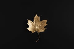 Shiny Golden Maple Leaf On Black Background. Flat Lay, Top View. Minimal Autumn Composition Concept. Royalty Free Stock Photos