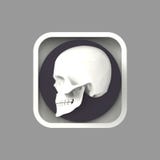 Shiny metal skull on rough rounded rectangle application icon. vector illustration Shiny metal skull on rough rounded rectangle application icon. vector illustration