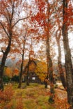 Shirakawa village in late november autumn to winter season Royalty Free Stock Photography Shirakawa village in late november autumn to winter season Royalty Free Stock Photography