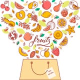 Shopping basket with fruit in vector. The illustration for the site, printing and design. vector illustration Shopping basket with fruit in vector. The illustration for the site, printing and design. vector illustration