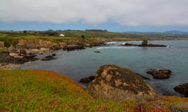 Shore line past Pigeon Point Lighthouse in California royalty free stock photography Shore line past Pigeon Point Lighthouse in California royalty free stock photography