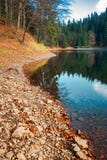Shore of Synevyr lake royalty free stock images Shore of Synevyr lake royalty free stock images