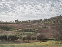 Shot of a rural environment royalty free stock image Shot of a rural environment royalty free stock image