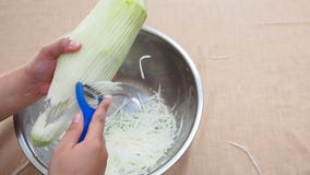 Shredding Green Papaya Casually by Slice Peeler or Papaya Shredder Stock  Footage - Video of bowl, ingredient: 111846390