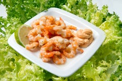 Shrimp Salad Royalty Free Stock Photography