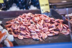 Shrimps On A Fish Market In Bergen In Norway. View On A Detail. Royalty Free Stock Image Shrimps On A Fish Market In Bergen In Norway. View On A Detail. Royalty Free Stock Image