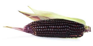 Siam Ruby Queen is super sweet corn with red color, can be eaten fresh, isolated on a white background with clipping path stock photos Siam Ruby Queen is super sweet corn with red color, can be eaten fresh, isolated on a white background with clipping path stock photos
