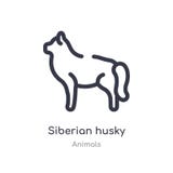 Siberisch schor overzichtspictogram ge?soleerde lijn vectorillustratie van diereninzameling editable dun slag Siberisch schor pic vector illustratie Siberisch schor overzichtspictogram ge?soleerde lijn vectorillustratie van diereninzameling editable dun slag Siberisch schor pic vector illustratie