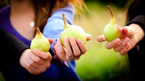 Siblings Holding Pears In Their Hands Stock Images