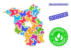 Sicherungsnatur-Collage der Karte Brandenburg-Staates mit Schmetterlingen und strukturierten Dichtungen stock abbildung Sicherungsnatur-Collage der Karte Brandenburg-Staates mit Schmetterlingen und strukturierten Dichtungen stock abbildung