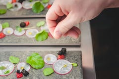 A cook adds a pinch of salt to an artistic plating of micro green and radish salad. royalty free stock photos A cook adds a pinch of salt to an artistic plating of micro green and radish salad. royalty free stock photos