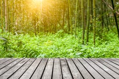 Sidewalk In The Bamboo Forest Royalty Free Stock Image