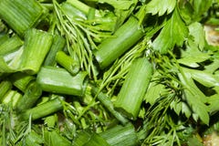 Siekać zielenie Zdjęcia Stock Siekać zielenie Zdjęcia Stock
