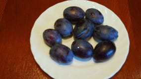 Siga para fora o movimento do fim do extremo acima com a placa branca com ameixas Frutos na tabela Espaço vazio para o texto de vídeos de arquivo Siga para fora o movimento do fim do extremo acima com a placa branca com ameixas Frutos na tabela Espaço vazio para o texto de vídeos de arquivo