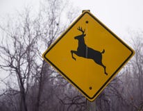 Signe de croisement de cerfs communs Photographie stock Signe de croisement de cerfs communs Photographie stock