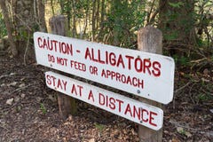 Signe de précaution avertissant au sujet des alligators en parc d'état de courbure de Brazos près de Houston, le Texas images stock Signe de précaution avertissant au sujet des alligators en parc d'état de courbure de Brazos près de Houston, le Texas images stock