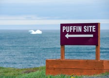 Signe de site de macareux avec l'iceberg dans l'Océan Atlantique photos stock Signe de site de macareux avec l'iceberg dans l'Océan Atlantique photos stock