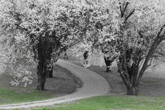 Signs of spring stock images Signs of spring stock images