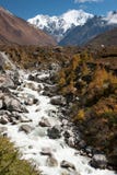 Sikt av den Langtang dalen, Langtang nationalpark, Rasuwa Dsitrict, Nepal royaltyfri fotografi Sikt av den Langtang dalen, Langtang nationalpark, Rasuwa Dsitrict, Nepal royaltyfri fotografi