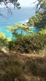 Sikt av ett träd på Adriatiskt havet på Tremiti öar Italien royaltyfria bilder Sikt av ett träd på Adriatiskt havet på Tremiti öar Italien royaltyfria bilder