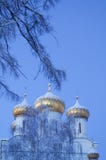 Sikt av kyrkan till och med filialerna arkivbilder Sikt av kyrkan till och med filialerna arkivbilder