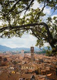 Sikt av Torre Delle Ore från överkant av det Guinigi tornet till och med trädfilialer, Lucca, Tuscany, Italien Panorama- överblic arkivbild Sikt av Torre Delle Ore från överkant av det Guinigi tornet till och med trädfilialer, Lucca, Tuscany, Italien Panorama- överblic arkivbild