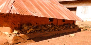 Sikt till kungliga slottar av Abomey, Benin royaltyfria bilder Sikt till kungliga slottar av Abomey, Benin royaltyfria bilder
