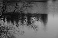 The silhouette of bare branches of a tree in front of a forest lake. Sentimental monochrome landscape, black-and-white photography stock photo The silhouette of bare branches of a tree in front of a forest lake. Sentimental monochrome landscape, black-and-white photography stock photo