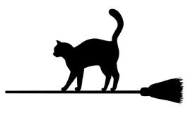 cat on a broomstick cat on a broomstick