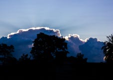 Silhouette d'arbre et de ciel avec le nuage dans le temps de soirée photo stock Silhouette d'arbre et de ciel avec le nuage dans le temps de soirée photo stock