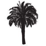 Silhouette d'un palmier de date avec des fruits illustration de vecteur Silhouette d'un palmier de date avec des fruits illustration de vecteur