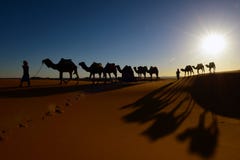 Silhouette de caravane de chameau avec le coucher du soleil en Sahara Desert, image libre de droits Silhouette de caravane de chameau avec le coucher du soleil en Sahara Desert, image libre de droits