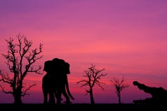 Silhouette Elephant And The Crocodile. Royalty Free Stock Images