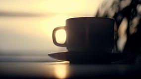 Silhouette en gros plan et foncée d'une tasse de thé ou café, sur une soucoupe, sur le fond du lever de soleil, aube, dans les ra banque de vidéos Silhouette en gros plan et foncée d'une tasse de thé ou café, sur une soucoupe, sur le fond du lever de soleil, aube, dans les ra banque de vidéos