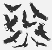 Silhouette Flying Eagle On White Background Royalty Free Stock Image Silhouette Flying Eagle On White Background Royalty Free Stock Image
