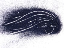 Silhouette of a girl with long hair of black glitter on white background. Silhouette of a girl with long hair of black glitter on white Stock Images Silhouette of a girl with long hair of black glitter on white background. Silhouette of a girl with long hair of black glitter on white Stock Images