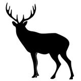 Silhouette Of Deer Royalty Free Stock Photos