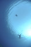 Silhouette Of Diver And Sea Turtle Stock Image