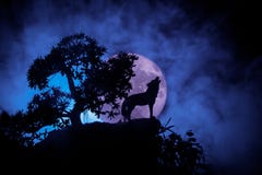 Silhouette Of Howling Wolf Against Dark Toned Foggy Background And Full Moon Or Wolf In Silhouette Howling To The Full Moon. Hallo Stock Image